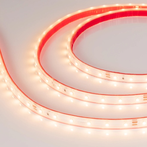 Лента светодиодная герметичная RTW-PS-A60-10mm 24V Warm3000 (4.8 W/m, IP67, 2835, 50m) (Arlight, 4.8 Вт/м, IP67)