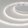 Лента светодиодная RT-A160-5mm 24V Day5000 (9.6 W/m, IP20, 2835, 5m) (Arlight, Открытый)