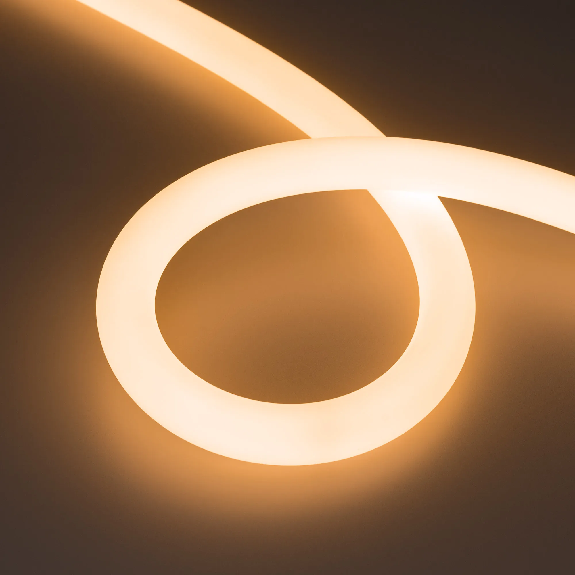 Лента светодиодная герметичная MOONLIGHT-SIDE-FP-X1088-D25mm 24V Warm2300 (20 W/m, IP65, 5m, wire x1) (Arlight, Вывод боковой, 3 года) - изображение товара