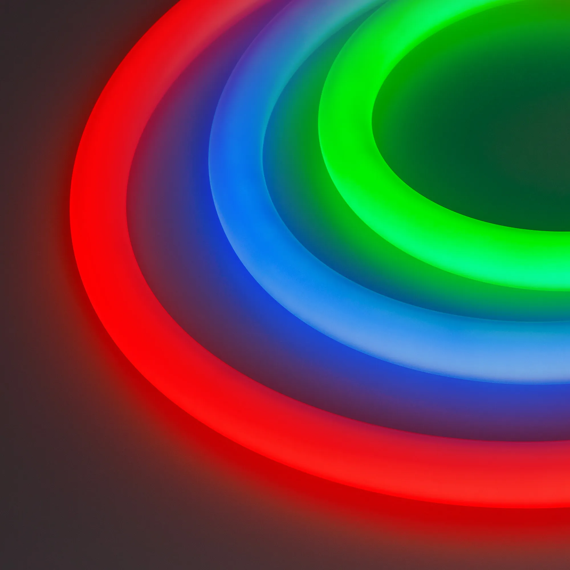 Лента светодиодная герметичная MOONLIGHT-BLACK-SIDE-G280-D25mm 24V RGB 360deg (14.4 W/m, IP65, 1m, wire x1) (Arlight, Вывод боковой, 3 года) - изображение товара